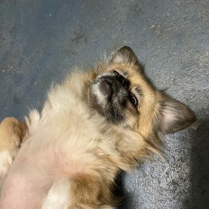 Meet your Posher, Alessandra